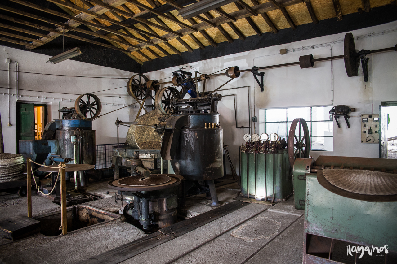 Azeite Castelo de Marvão, Galegos, Marvão, Alentejo, Turismo, Turismo rural, olivoturismo