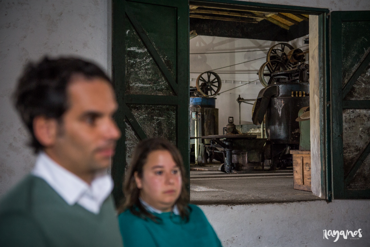 Azeite Castelo de Marvão, Galegos, Marvão, Alentejo, Turismo, Turismo rural, olivoturismo