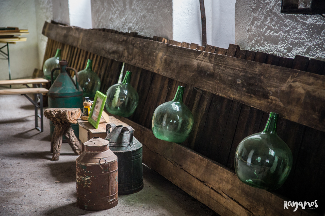 Azeite Castelo de Marvão, Galegos, Marvão, Alentejo, Turismo, Turismo rural, olivoturismo