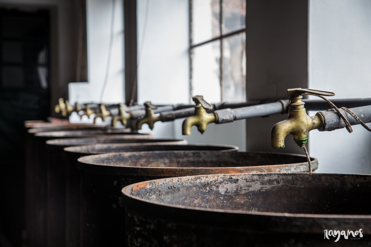 Azeite Castelo de Marvão, Galegos, Marvão, Alentejo, Turismo, Turismo rural, olivoturismo