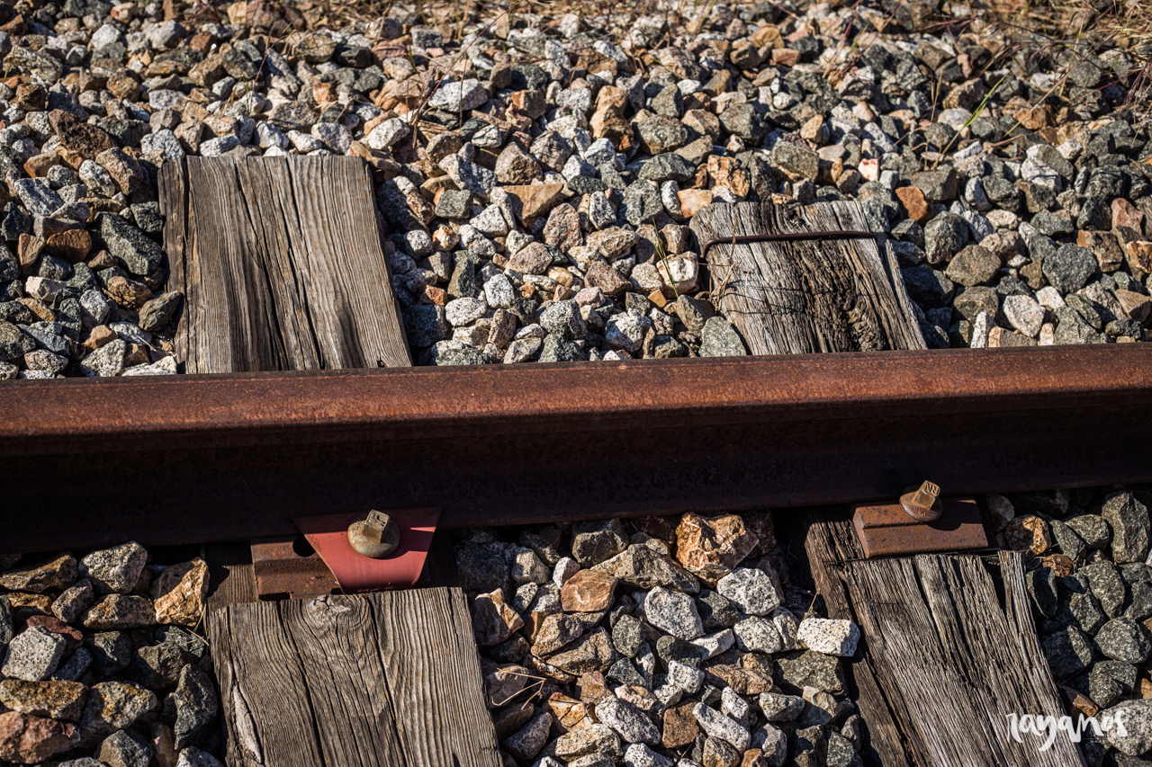 En la Raya, Na Raia, tren, tren digno, Valencia de Alcántara, Madrid Lisboa, Lusitania
