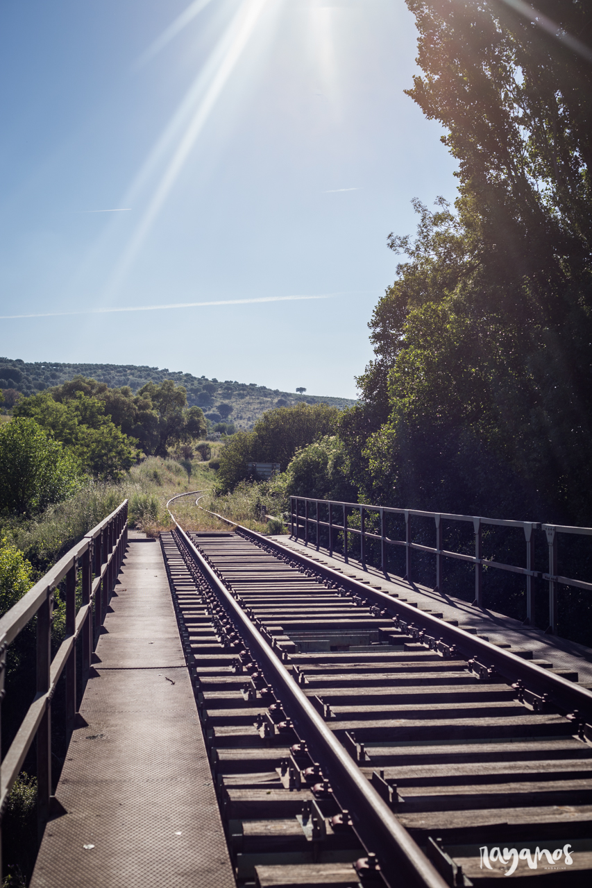 En la Raya, Na Raia, tren, tren digno, Valencia de Alcántara, Madrid Lisboa, Lusitania
