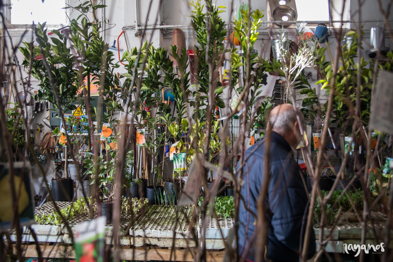 Un negocio, dos mercados