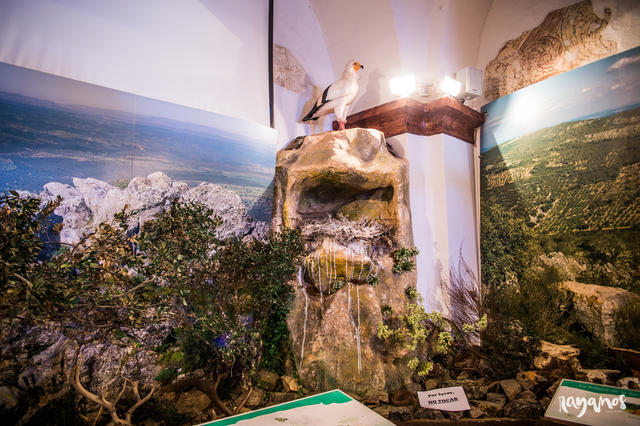 Santiago de Alcántara, Taejo Internacional, Alentejo, Extremadura, turismo