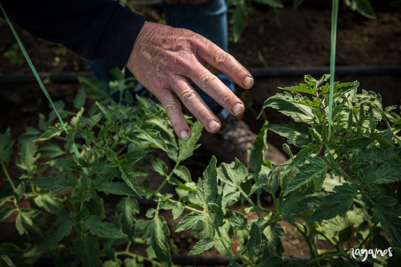 Valencia de Alcántara, agronatura, huertos ecológicos, Extremadura,