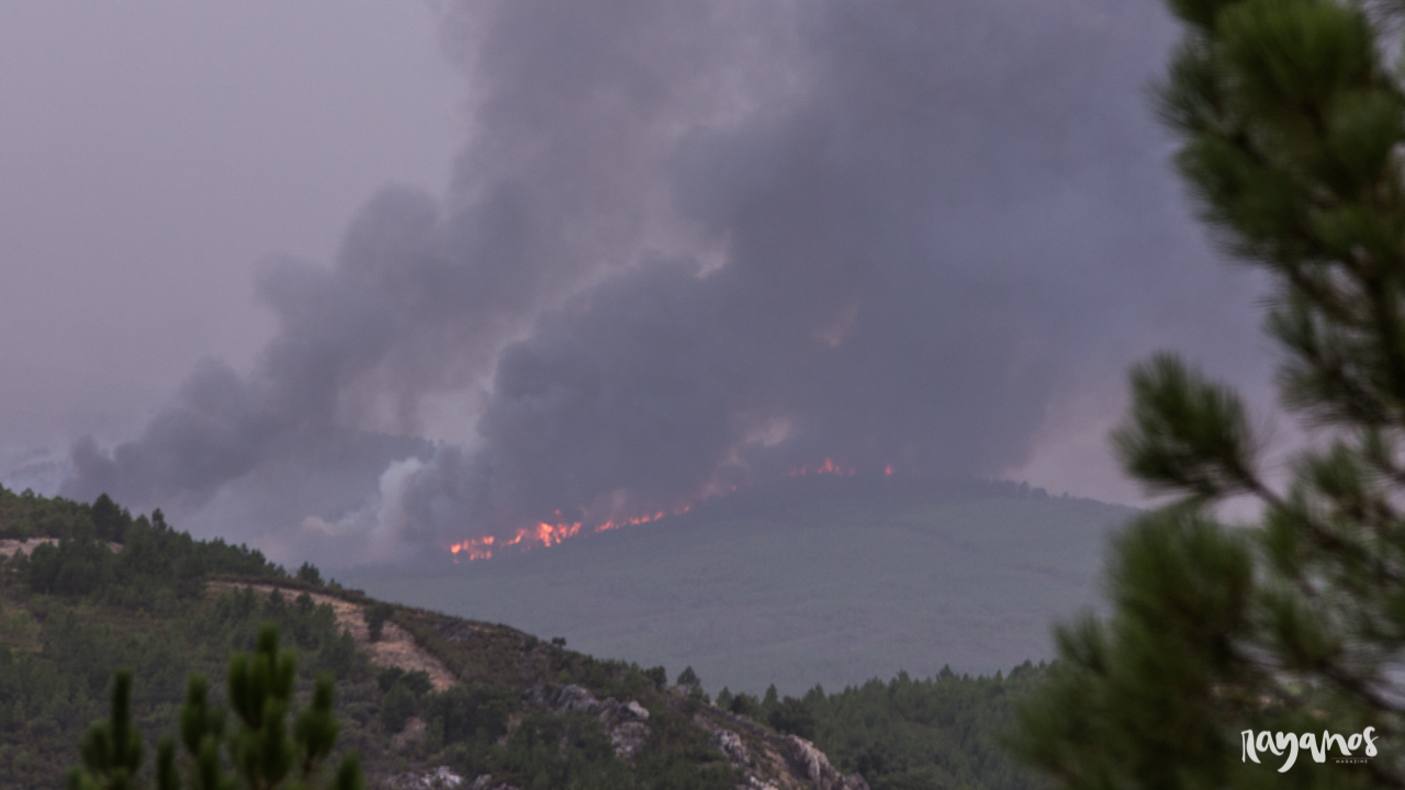 incendios, Sierra de Jola, Marvão, agronatura, Alentejo