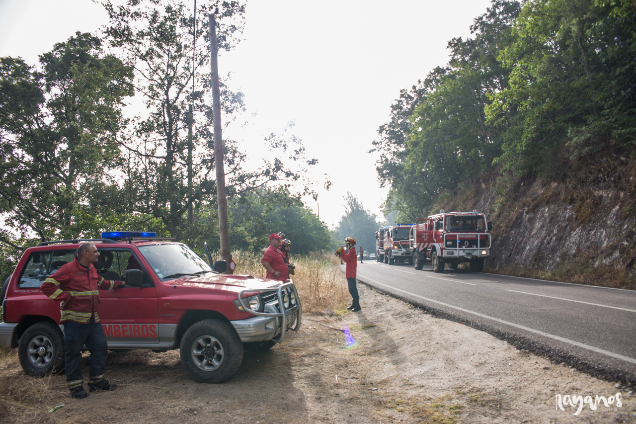 incendios, Sierra de Jola, Marvão, agronatura, Alentejo