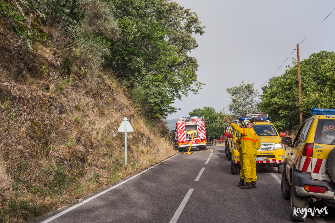 incendios, Sierra de Jola, Marvão, agronatura, Alentejo