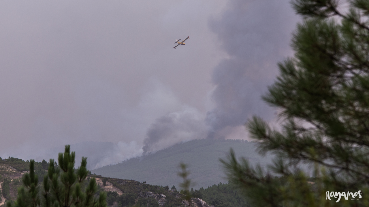 incendios, Sierra de Jola, Marvão, agronatura, Alentejo