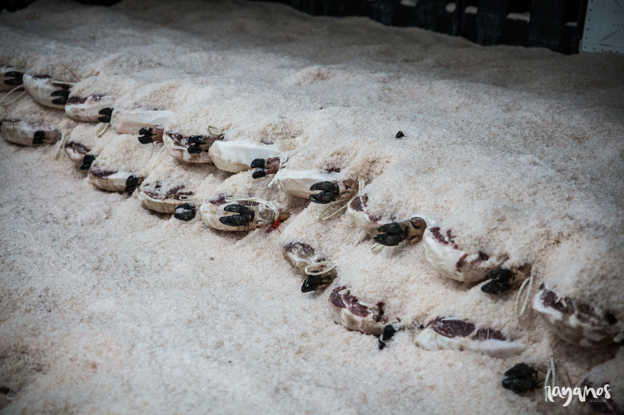 Herrera de Alcántara, Dehesa de Solana, agronatura, jamón, Extremadura, dehesa