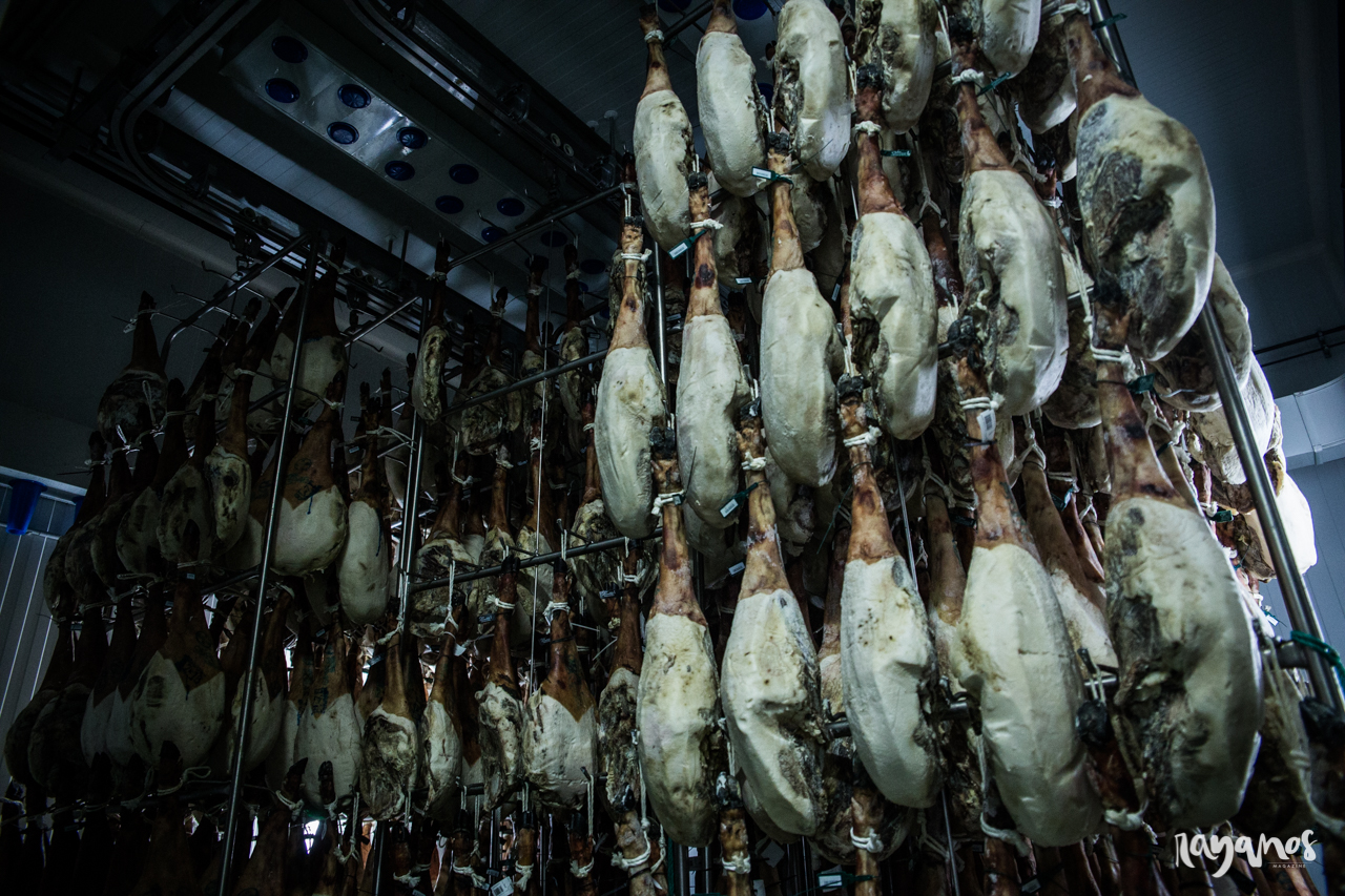 Herrera de Alcántara, Dehesa de Solana, agronatura, jamón, Extremadura, dehesa