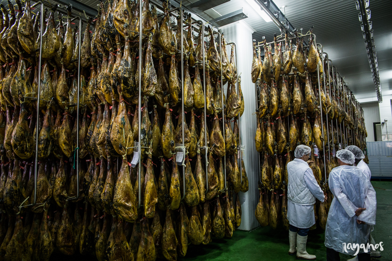 Herrera de Alcántara, Dehesa de Solana, agronatura, jamón, Extremadura, dehesa