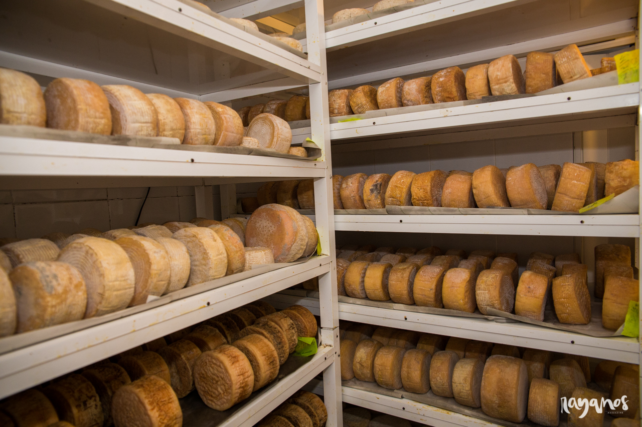 Valencia de Alcántara, queso, quesería artesanal, agronatura, Extremadura