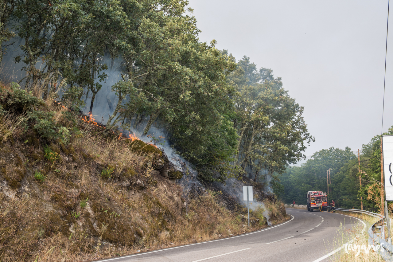 incendio, Marvão, Jola, Alentejo, Extremadura, agronatura