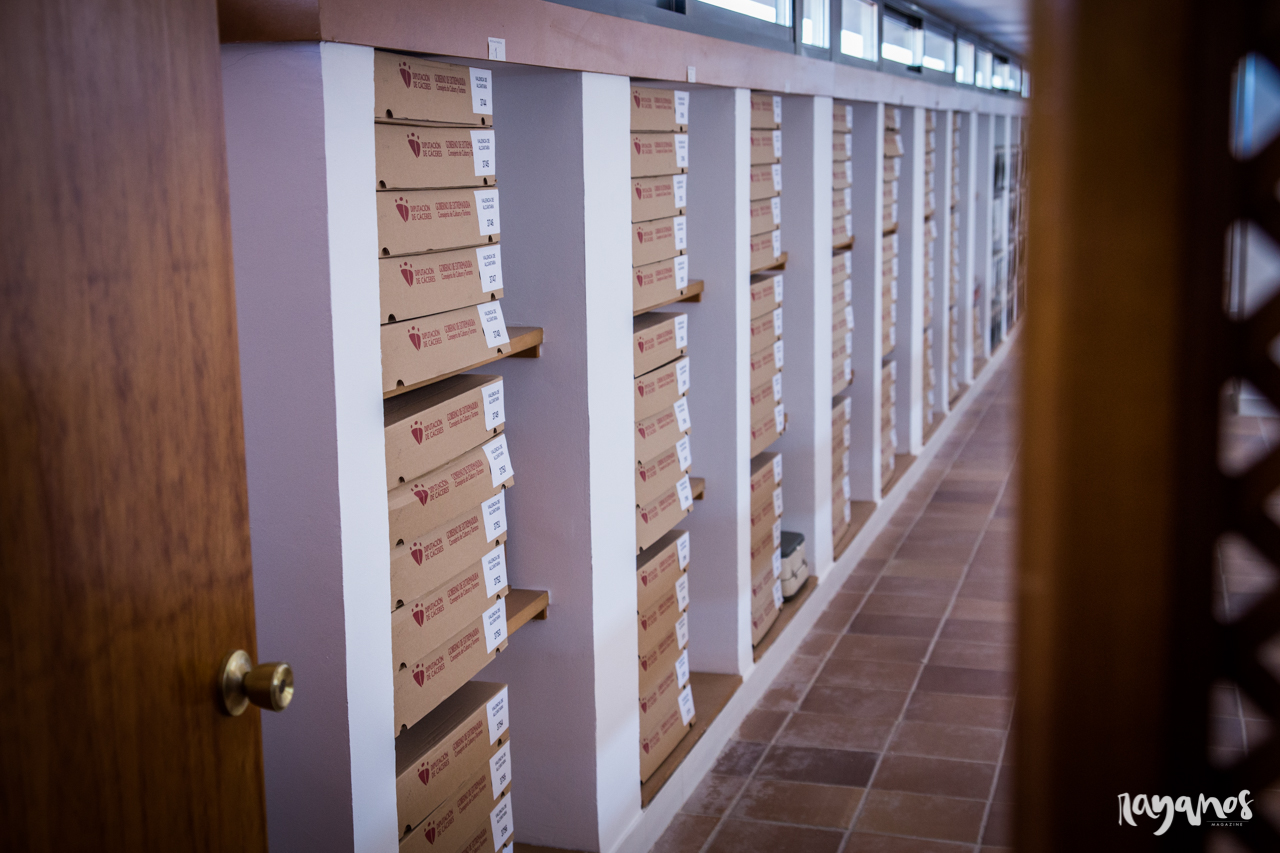 Archivo histórico, Valencia de Alcántara, libros, cultura, Extremadura