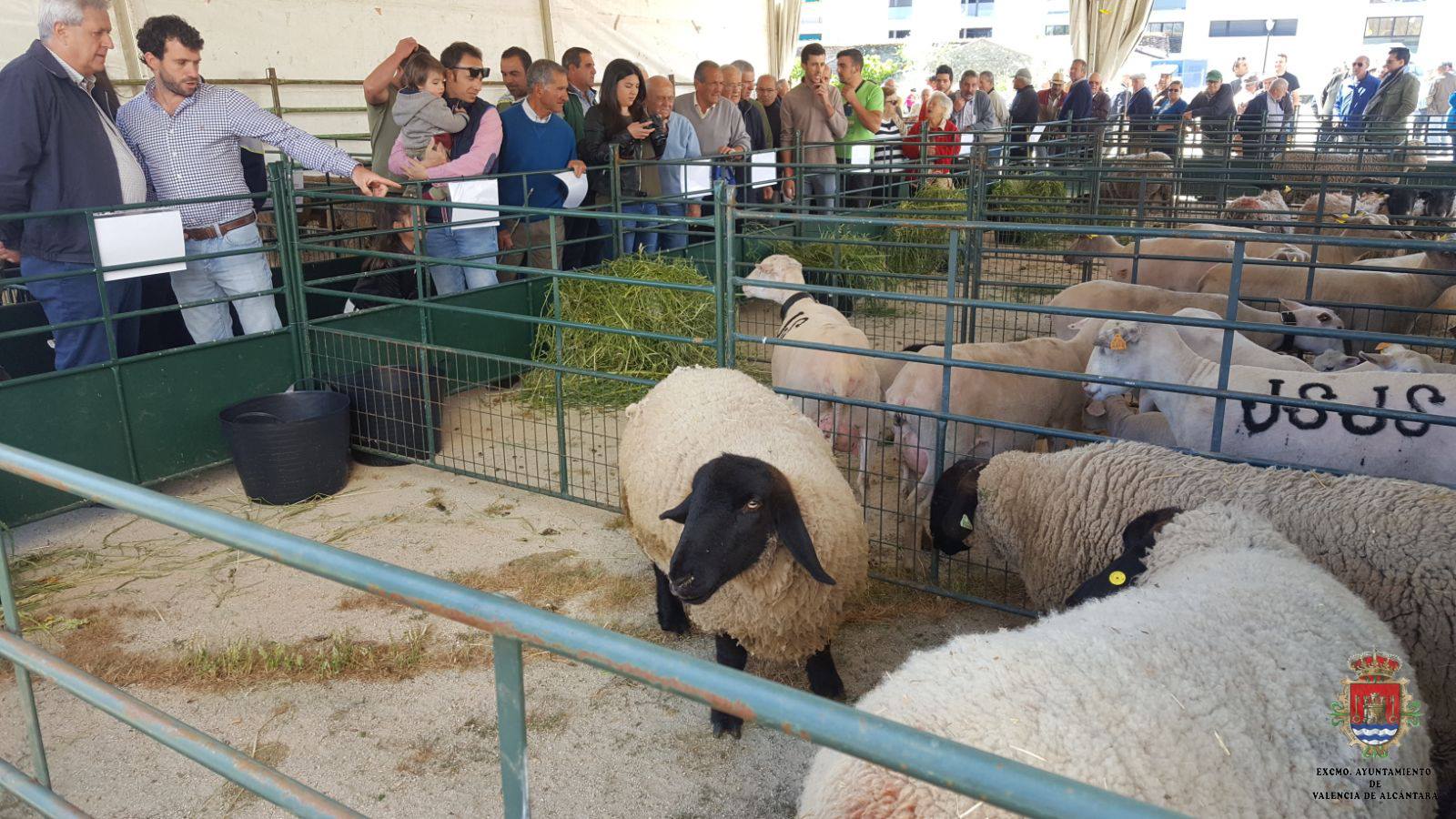 San Isidro, Valencia de Alcántara, turismo, turismo rural, Extremadura